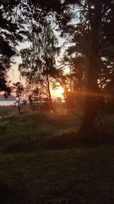  Lament Onneksi Tuohon Pimeyden Välkeen Saavuttiin Melodista Kitarointi